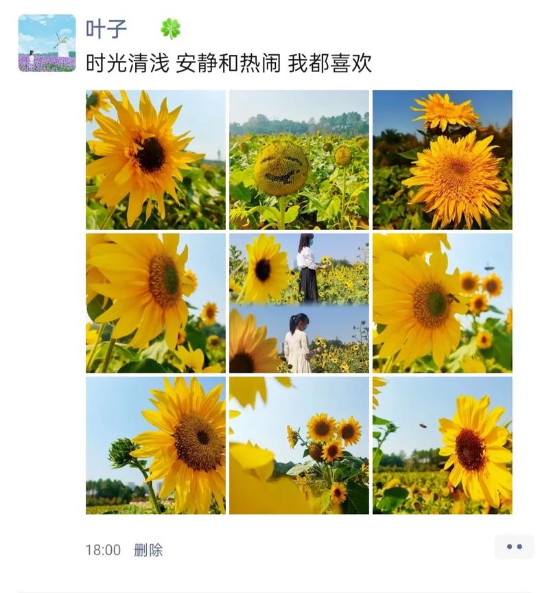 如何使翻拍的图象和文字更加清楚?