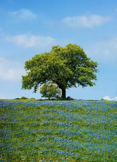 找一张背景素材图片