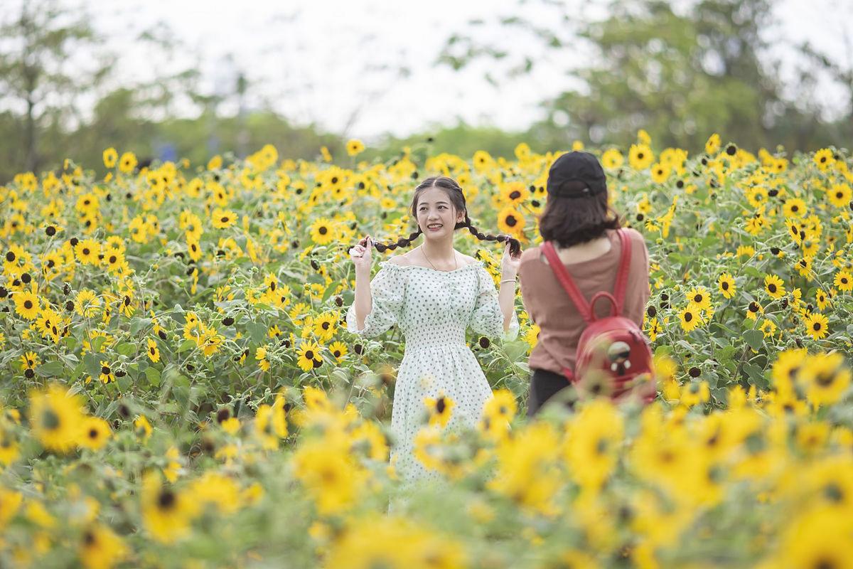 在花田中怎么拍人像照才好看?