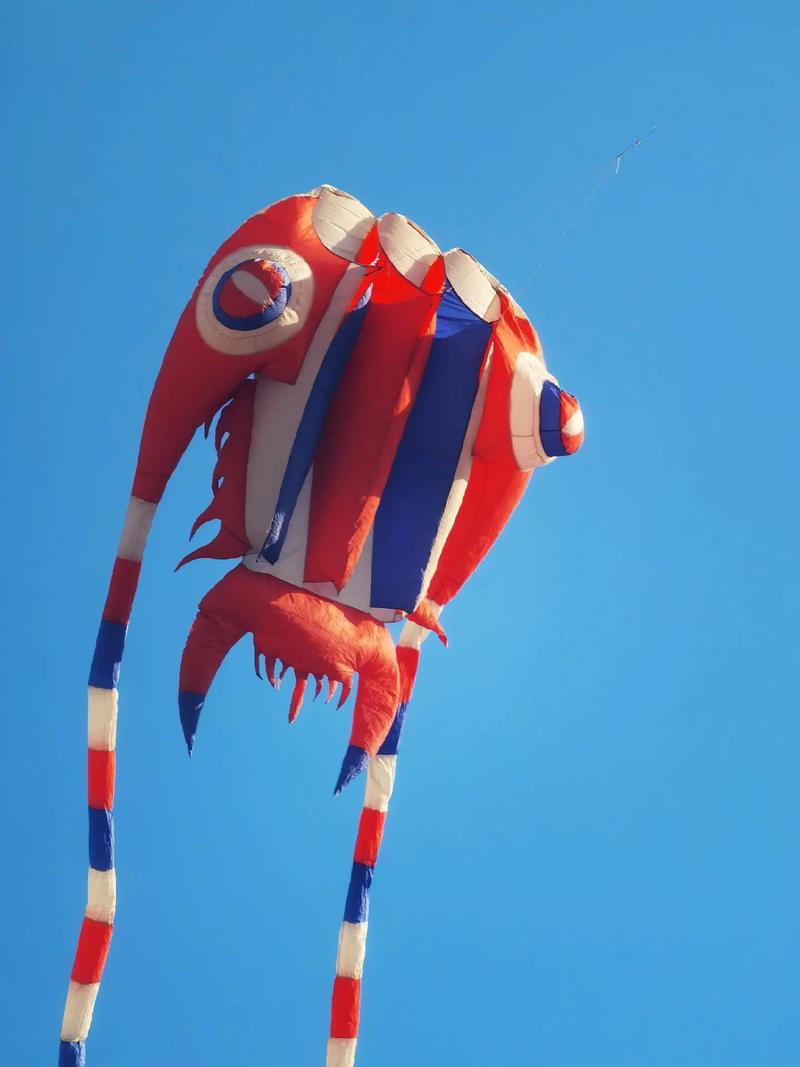 自媒体拍视频用什么手机最好