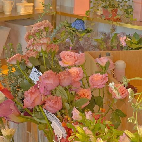 超级喜欢ins背景图