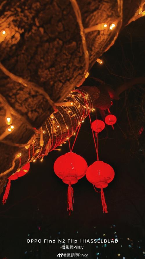 能否分享一张你秒杀朋友圈的春节照片?