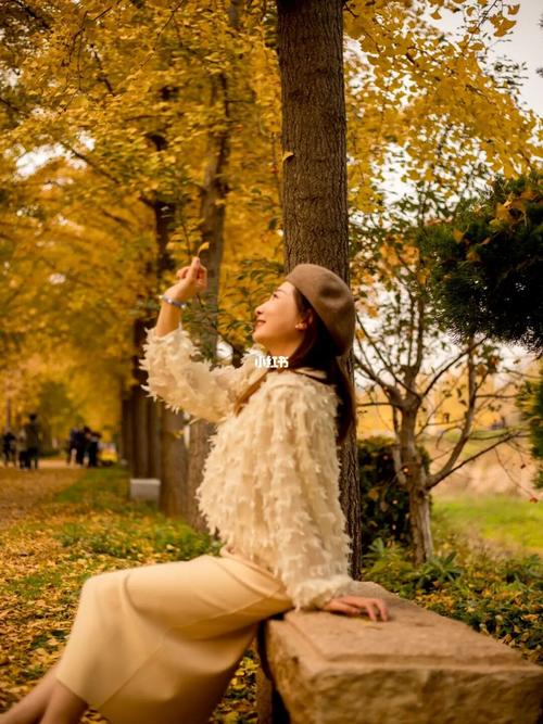 秋天怎么拍照更好看?这么拍也太美了