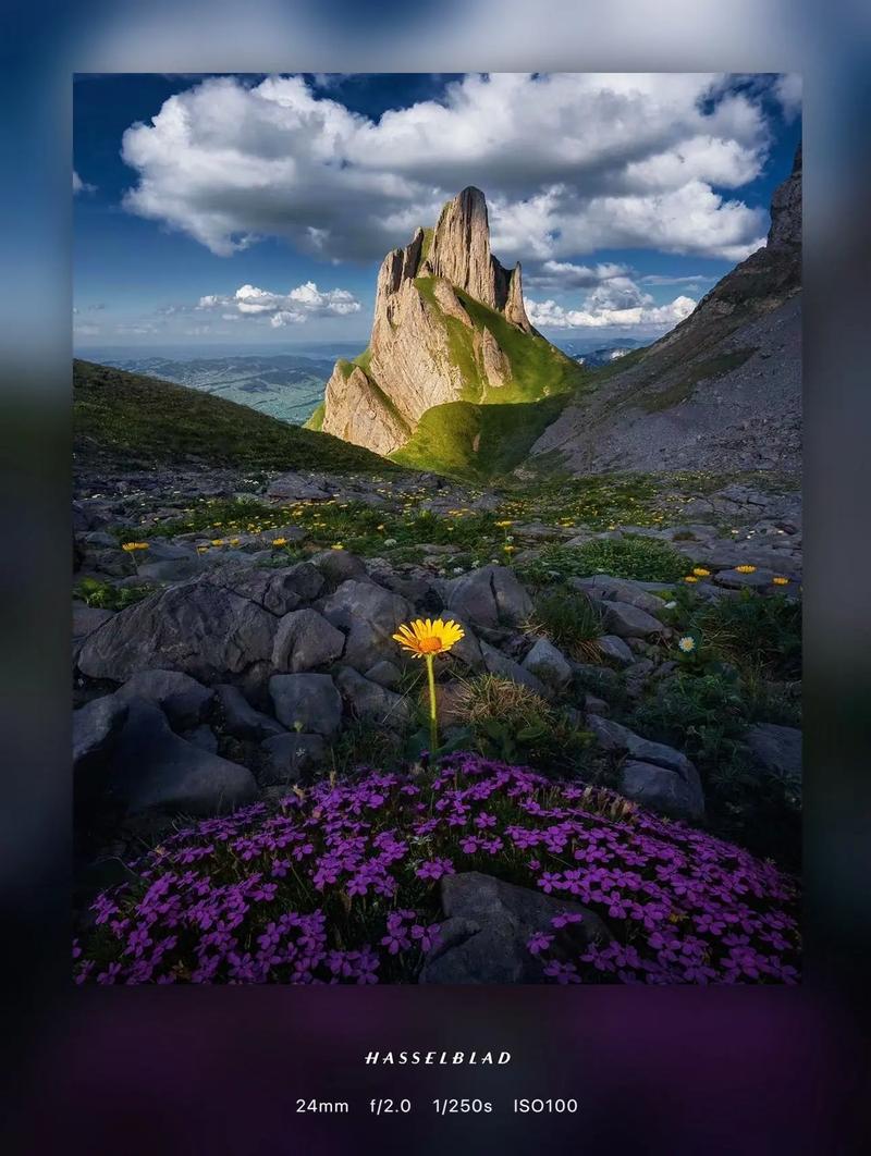 水印相机水印相机是个什么东东是QQ空间的那个