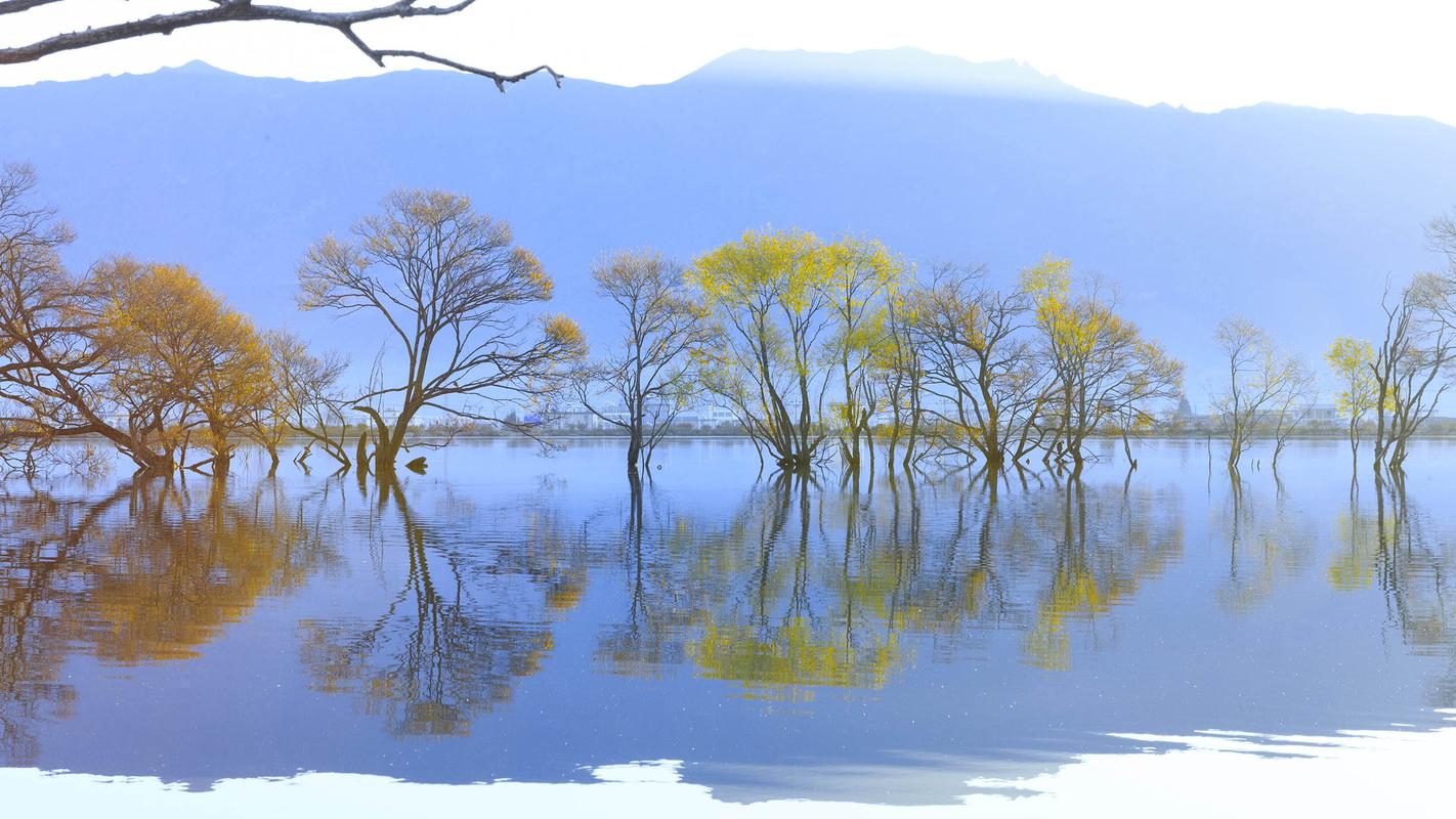 你有没有非常高逼格且一直珍藏的壁纸?