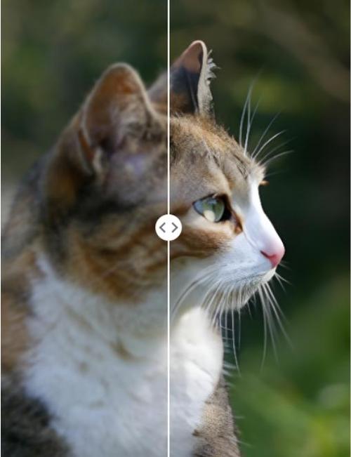 有哪个软件可以将模糊图片,变清晰,最好是免费软件?