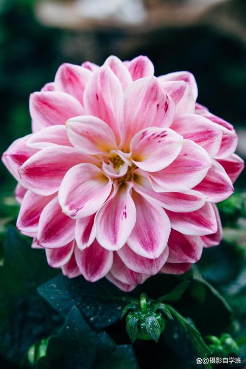 如何用手机屏幕拍出与众不同的创意照?