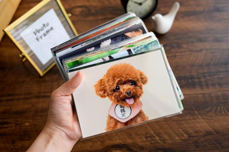 照片能翻洗吗?多少钱?