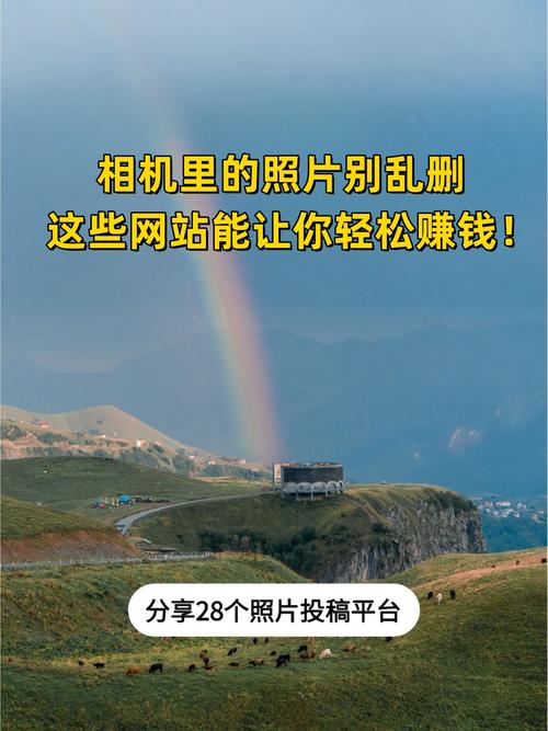 拍照赚钱平台哪个好?推荐这5个!