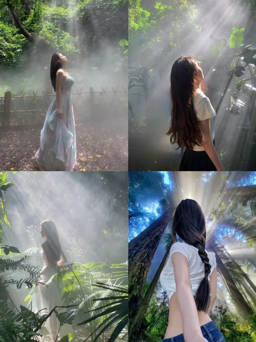 如何拍出绝美丁达尔光?拍照技巧快学起来