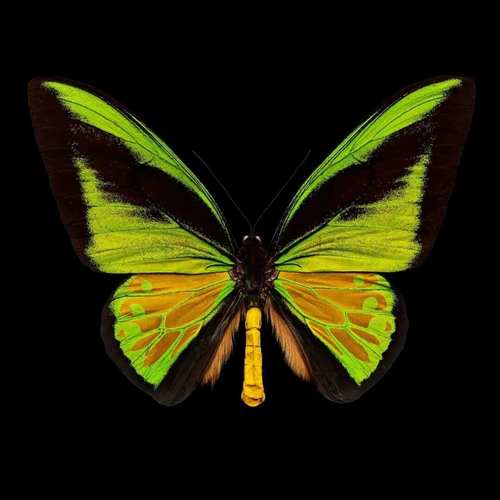 我又一张小图,想吧他放大。但放大又不清楚了,请问怎么办