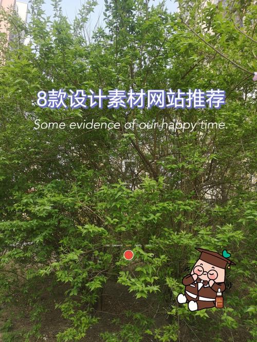 8个高质量免费图片素材网站,建议收藏~