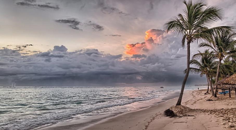 6个超好用的小众图片素材网站,高清、免费,值得收藏~