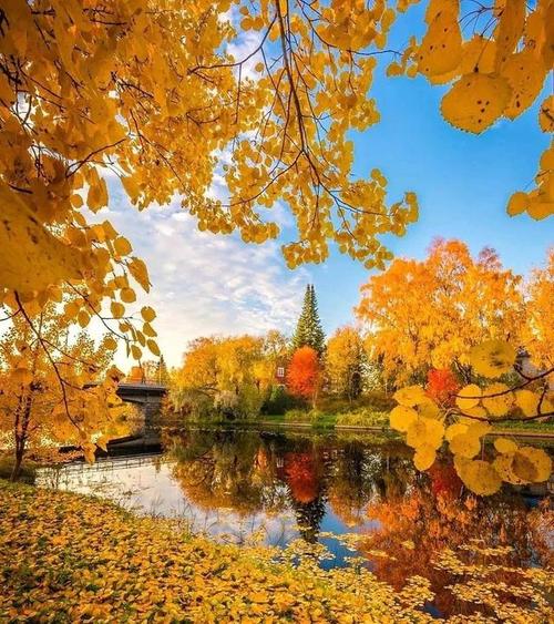 拍照时怎样摆放构图才会比较好看??