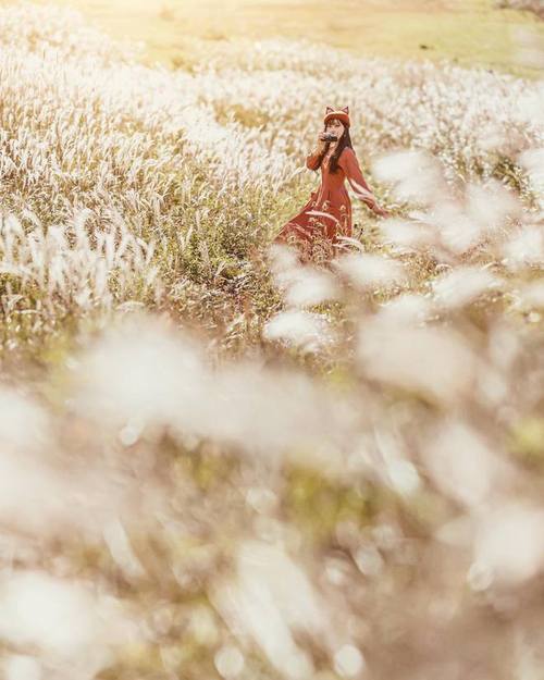 如何在逆光条件下用手机拍出唯美的风景照片?