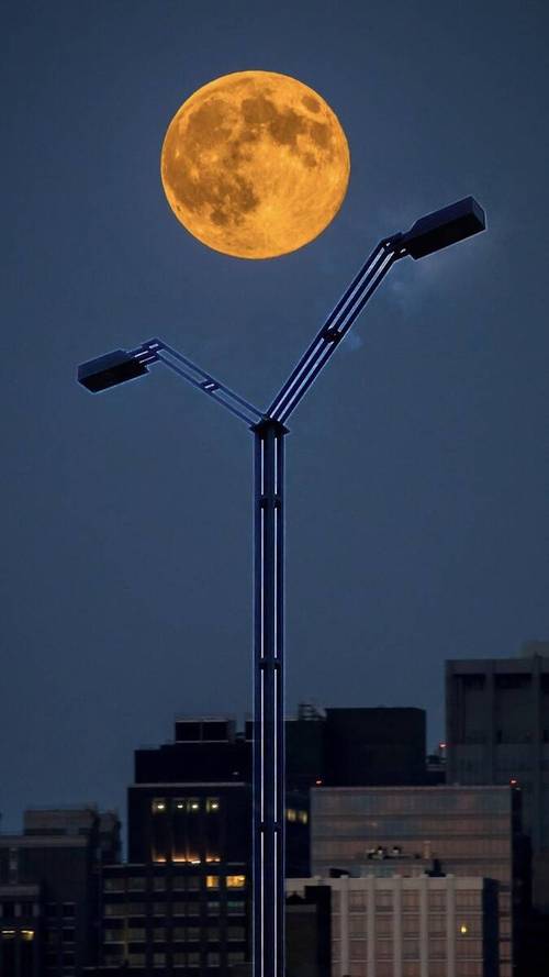 有创意的手机拍摄手法图2