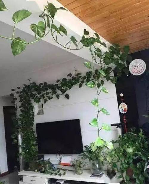 补光灯真的有用吗图1