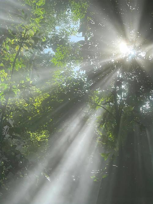 拍照什么光线最好看图片图3