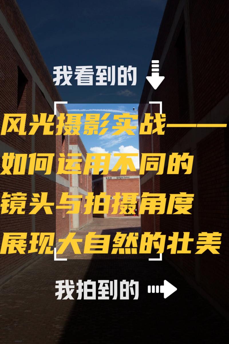 请论述镜头角度的分类以及它们的作用