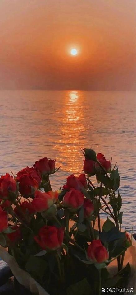 Ins风唯美背景图片!超好看的微信背景图~