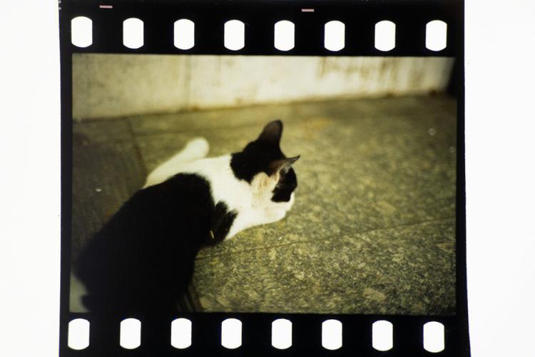 怎样可以把翻拍的照片十分清晰的处理出来??