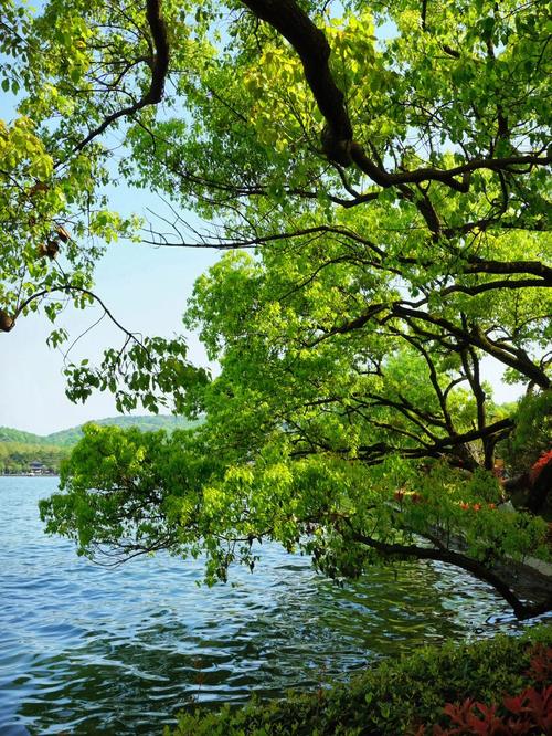 数码相机怎么拍出唯美的风景照片?