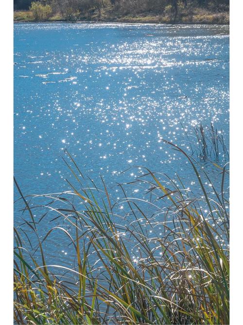 手机照相为什么会出现一些小的蓝色光点?