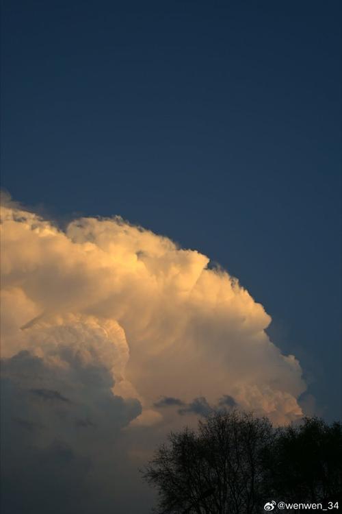 照片翻拍是什么意思图2