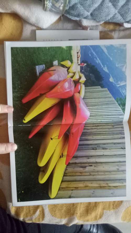 翻拍照片技巧与方法图3