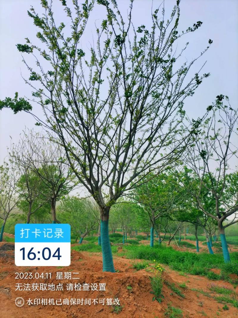 手机拍照可以记录时间和地点吗?