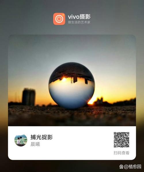 原相机在哪里找