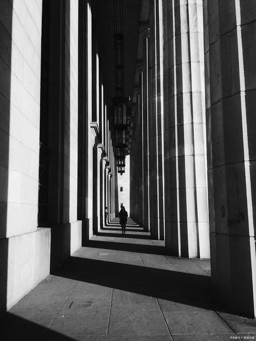 摄影养成:留白构图?