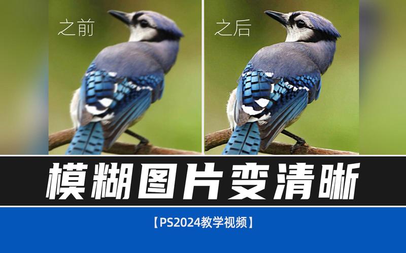 可以让模糊图片变清晰的软件有哪些免费图片处理软件推荐