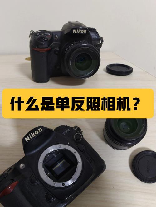 翻拍照片怎么拍才好看女生图3