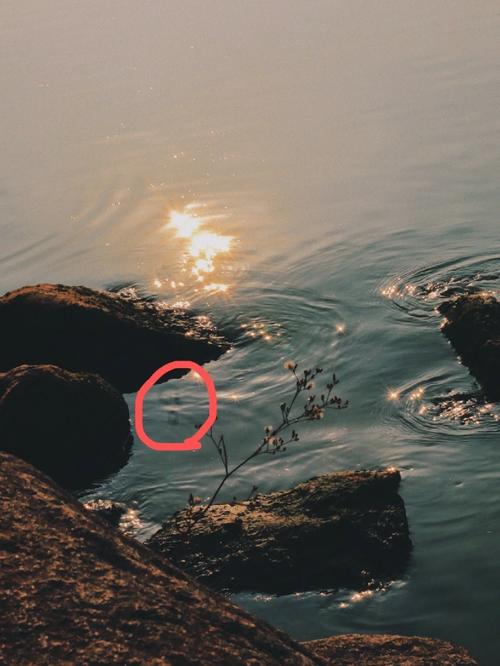 显示时间地点水印相机推荐华为图2