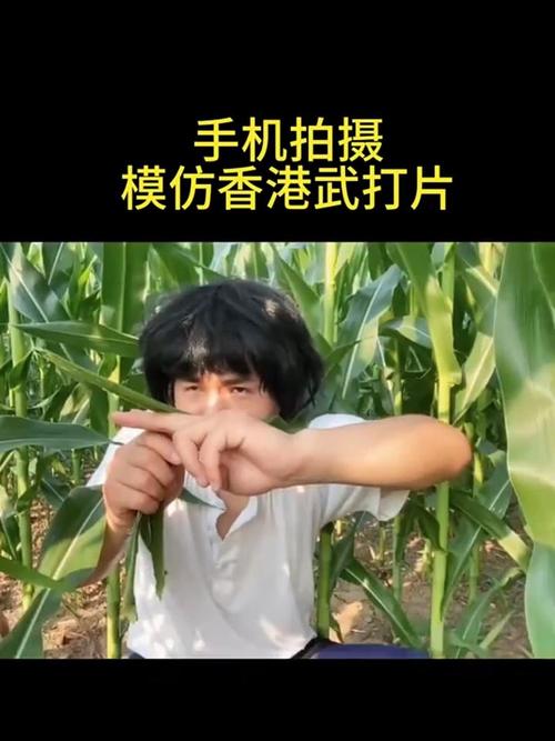 翻拍照片技巧与方法视频图1