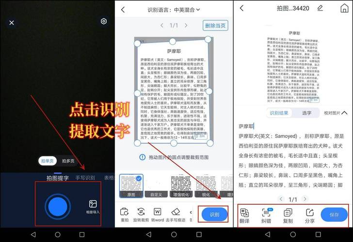 拍照转文字的软件在线图3