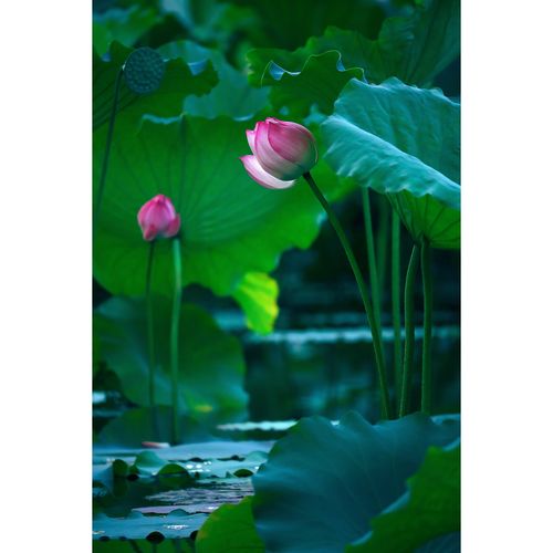 拍照背景图片素材模糊不清图2