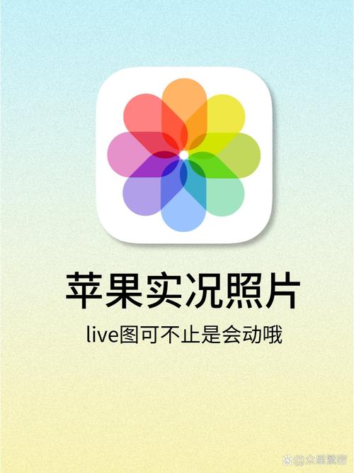 苹果实况怎么拍好看苹果手机拍照技巧图解