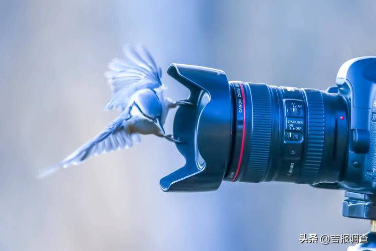 哪个拍照软件拍照最好看又自然图1