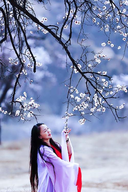 怎样拍好风景照构图图2