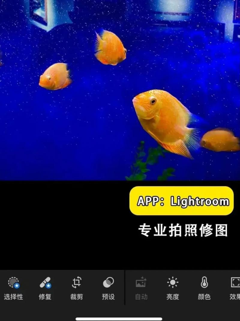 让照片变清晰的软件