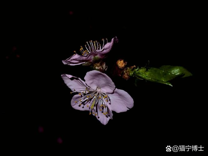 投影仪背景图拍视频图3