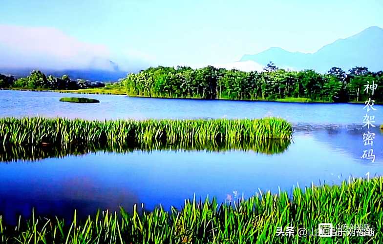 禁止翻拍照片怎么解决图2