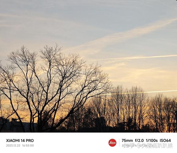 今日水印相机拍照不在相册里图3