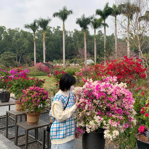 死亡角度拍照相片图3