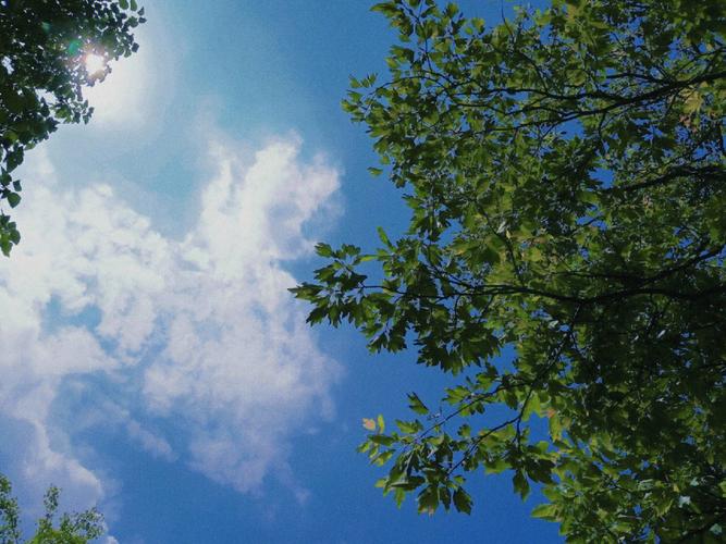 照片像素太低怎么提高像素变清晰图2