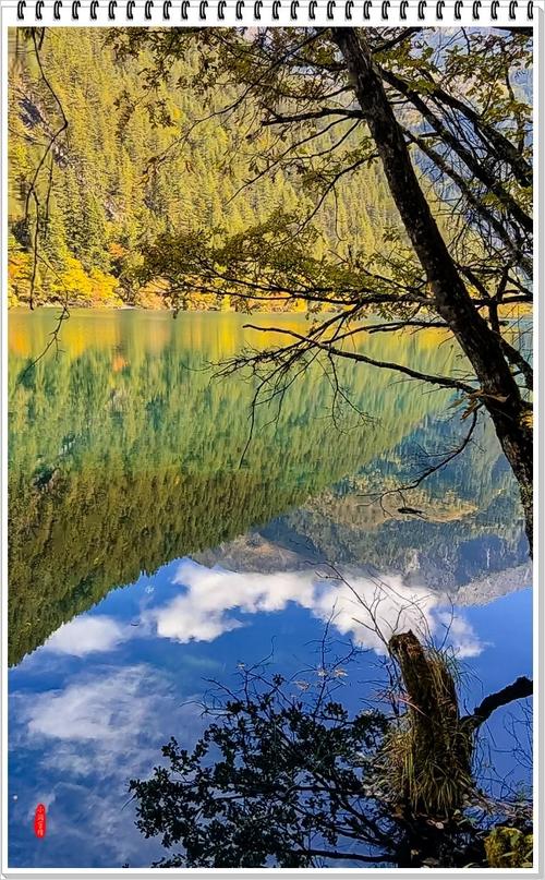 拍照手机推荐3000图2