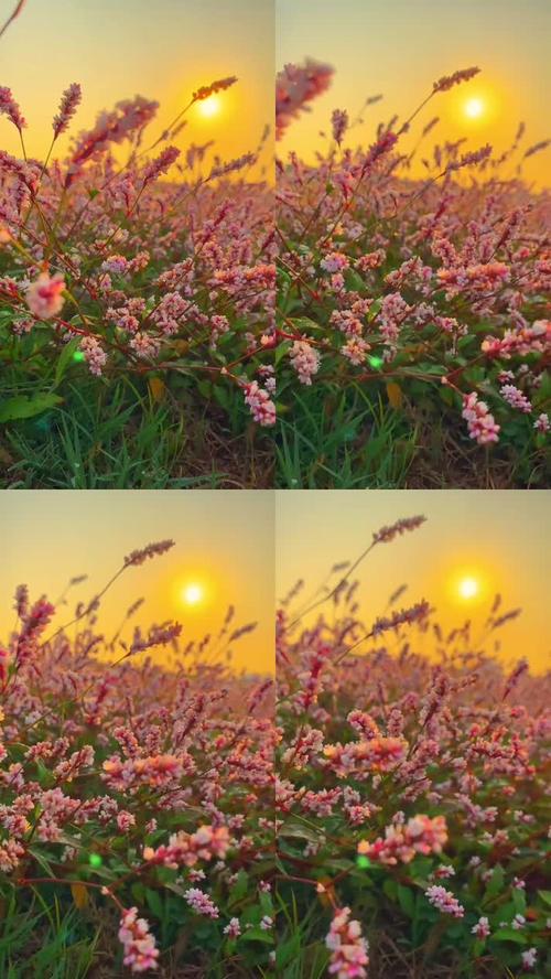 照片不允许翻拍什么意思图3