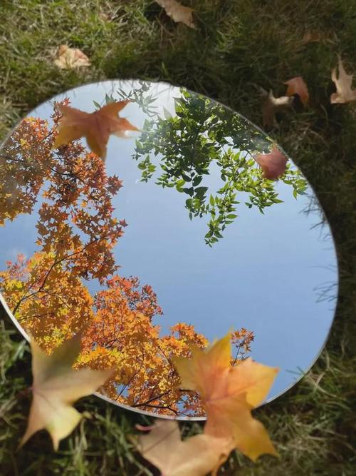 为什么室外拍照比照镜子好看